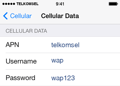 setting APN Telkomsel iPhone